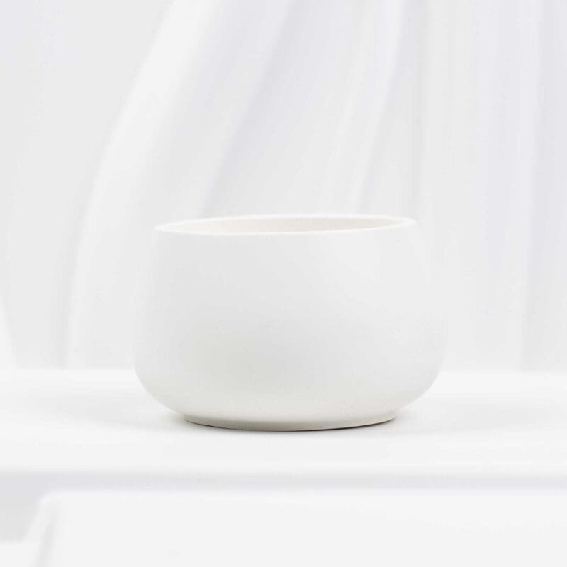 75-Match-Holder-1-2.jpg 4.8 cm Cinnamon with White Tips Matches