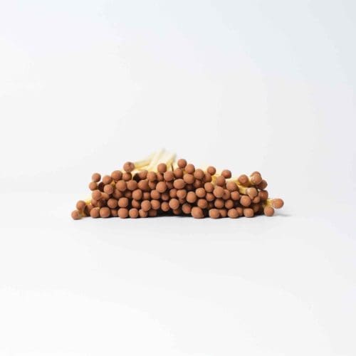 Braun.jpg 4.8 cm Brown Head Matches